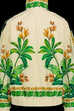 adidas Collegepaidat Ja Hupparit<Sportswear Farm takki