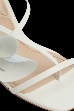 ALDO Avokkaat<naisten avokkaat 13903943