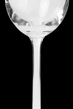 Clearance Belle liköörilasi 8cl 2kpl Lasit