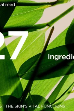 Best DOUBLE SERUM Light Texture seerumi 50ml Kasvojenhoito