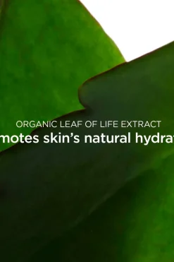 Online Fresh Scrub kasvokuorinta 50ml Kasvojenhoito