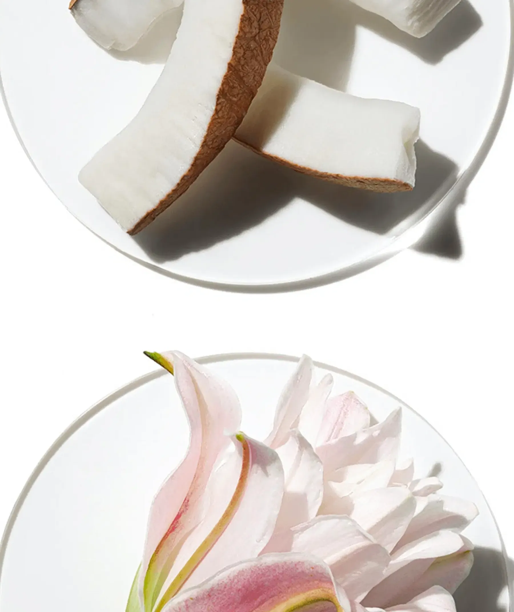 Best My Happy Lily Of The Beach EdP 15 ml tuoksu Hajuvedet