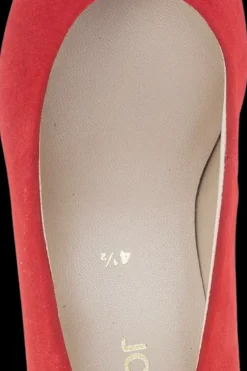 Best avokkaat Avokkaat