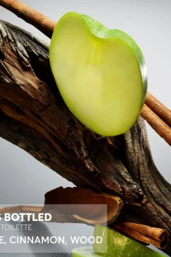 BOSS tuoksut Tuoksut<Hugo Boss Bottled EdT tuoksu 50 ml