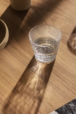 Iittala Lasit<Tundra juomalasi 29cl kirkas 2kpl