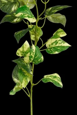 Mica decorations Koriste-esineet<Sisustusoksa Kultaköynnös 74 cm vihreä