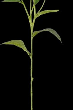 Discount Sisustuskukka Lilja 63 cm vaaleanpunainen Koriste-esineet