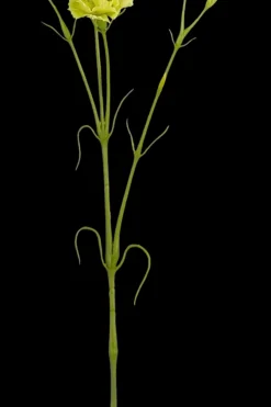 Mica decorations Koriste-esineet<Sisustusoksa Neilikka 66 cm vihreä