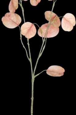 Mica decorations Koriste-esineet<Sisustusoksa Eukalyptys 60 cm persikka