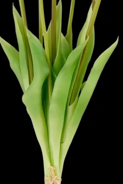 Mica decorations Koriste-esineet<Sisutuskimppu Tulppaani 38x16x5 cm vaaleanpunainen