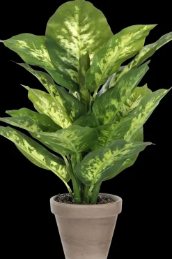 Mica decorations Koriste-esineet<Sisutuskasvi Kirjovehka 40 cm vihreä