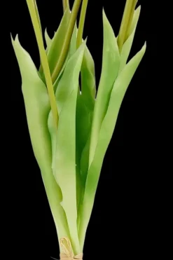 New Sisutuskimppu Tulppaani 38x16x5 cm keltainen Koriste-esineet