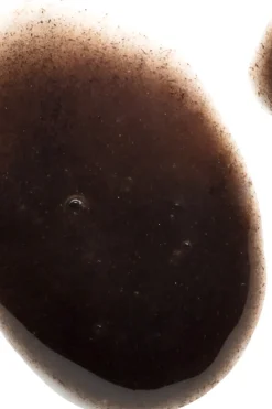 NOBE Nordic Beauty Hajusteettomat Ihonhoidon Tuotteet|Kasvojenhoito<Forest Drops™ Microbiome Booster seerumi 30 ml