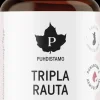 Puhdistamo Kivennäis- Ja Hivenaineet<Tripla Rauta 60 kaps.
