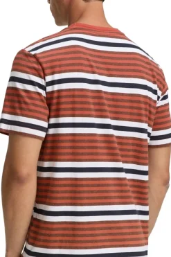 Tom Tailor Pluskoot|Paidat<t-paita