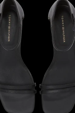 New avokkaat Avokkaat