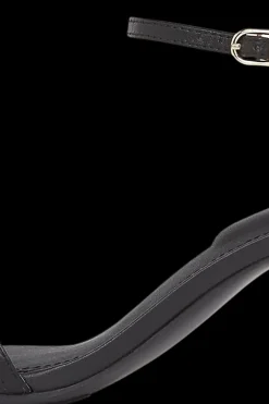 New avokkaat Avokkaat