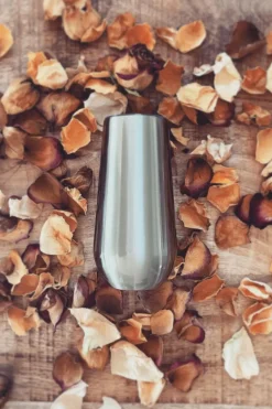 Discount Silver Fox samppanjapikari 180 ml Take-away- Ja Termosmukit