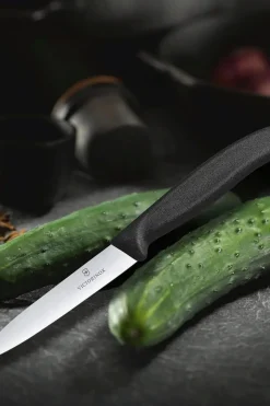 Discount hedelmäveitsi 10cm Keittiöveitset