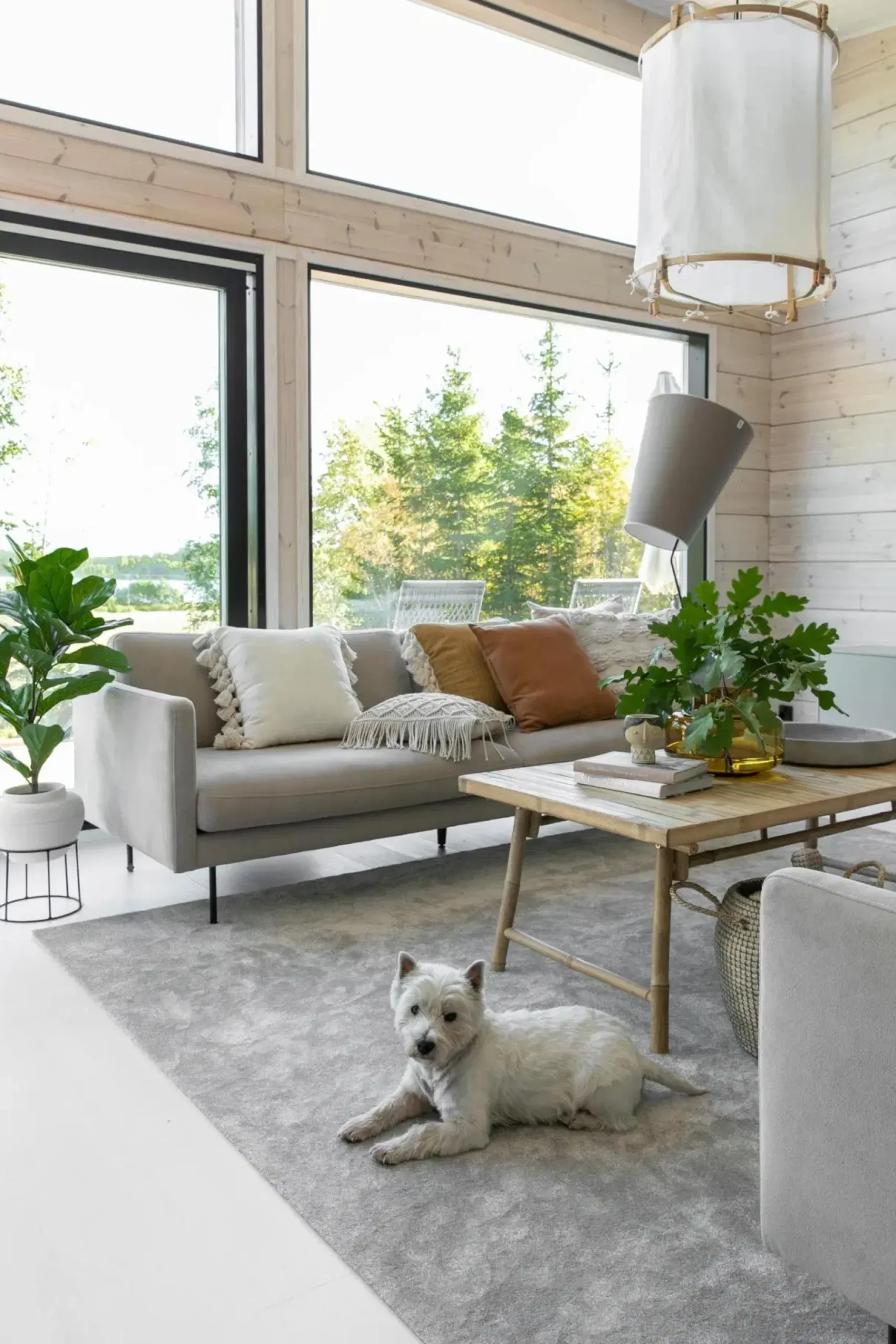 Hot VM-Carpet Hattara nukkamatto 200x300cm beige Olohuoneen Matot